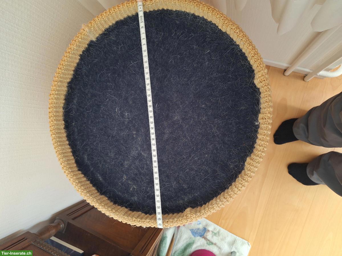 Bild 3: Kratztonne für Katzen, 80cm, zu verkaufen