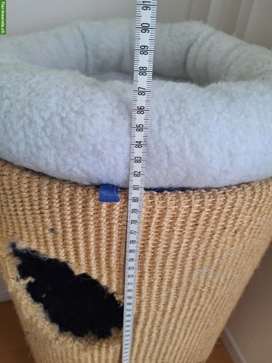 Bild 4: Kratztonne für Katzen, 80cm, zu verkaufen
