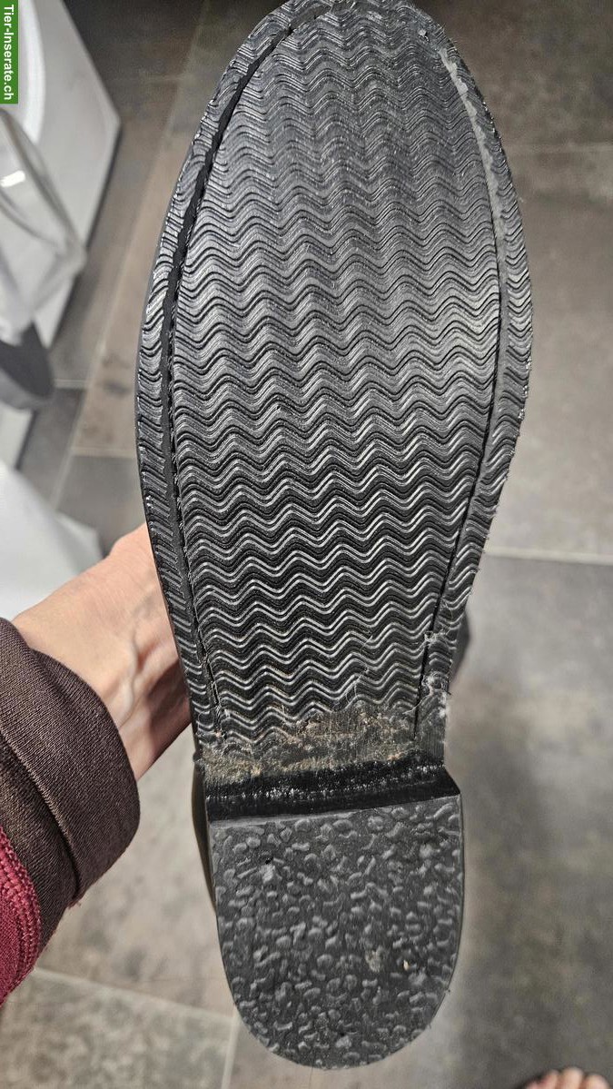 Bild 2: Qualitäts-Reitstiefel, Gr. 41.5 / 42, NEU