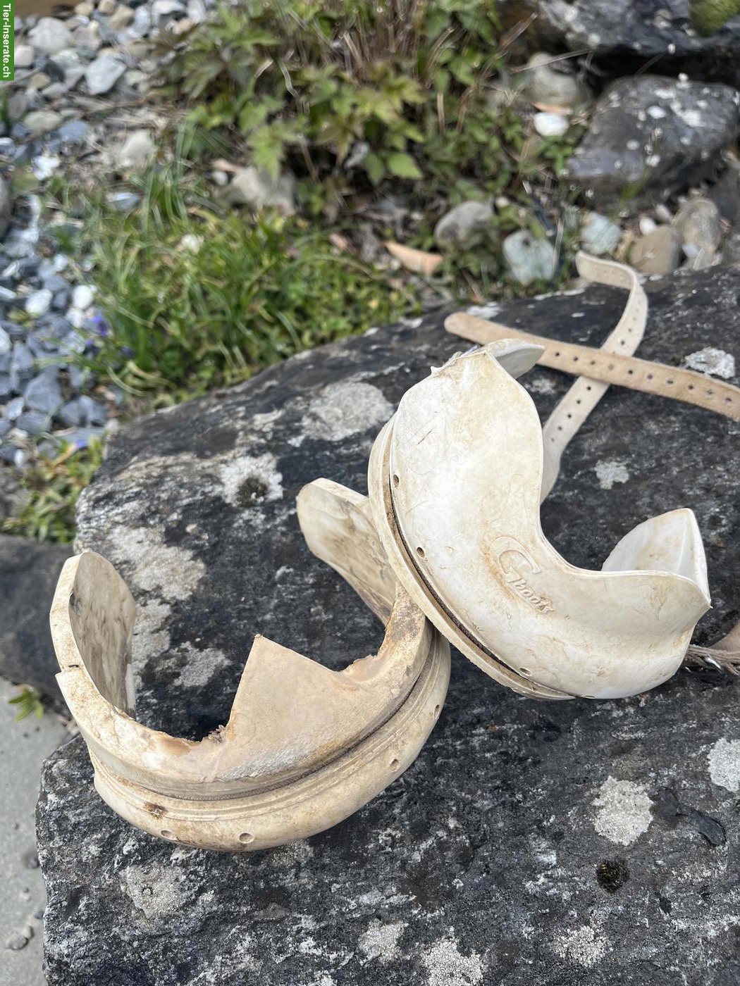 Gebrauchte Gboots gratis abzugeben