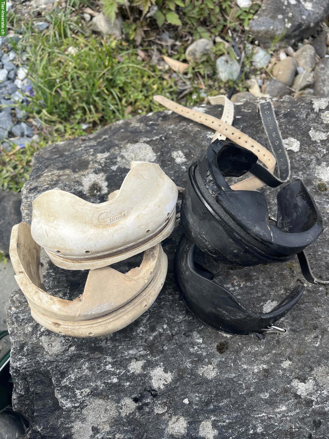 Bild 3: Gebrauchte Gboots gratis abzugeben