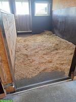 Pferde Auslaufboxe zu vermieten in Hefenhofen TG