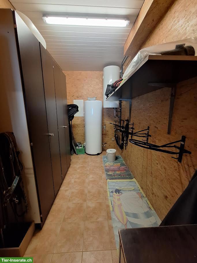 Bild 3: Pferde Auslaufboxe zu vermieten in Hefenhofen TG