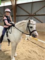 3 Traumponys mit viel Erfahrung, gut geritten, top im Umgang!