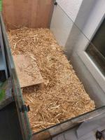 Nagerkäfig / Hamsterkäfig mit Glaswanne und Gitteraufsatz