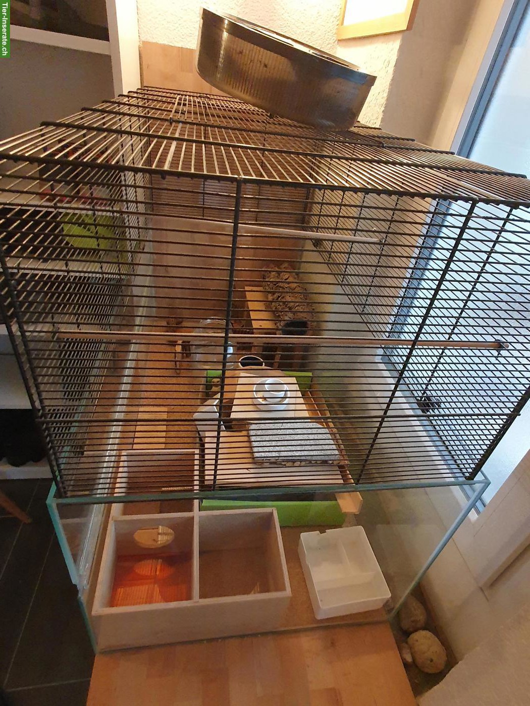 Bild 2: Nagerkäfig / Hamsterkäfig mit Glaswanne und Gitteraufsatz