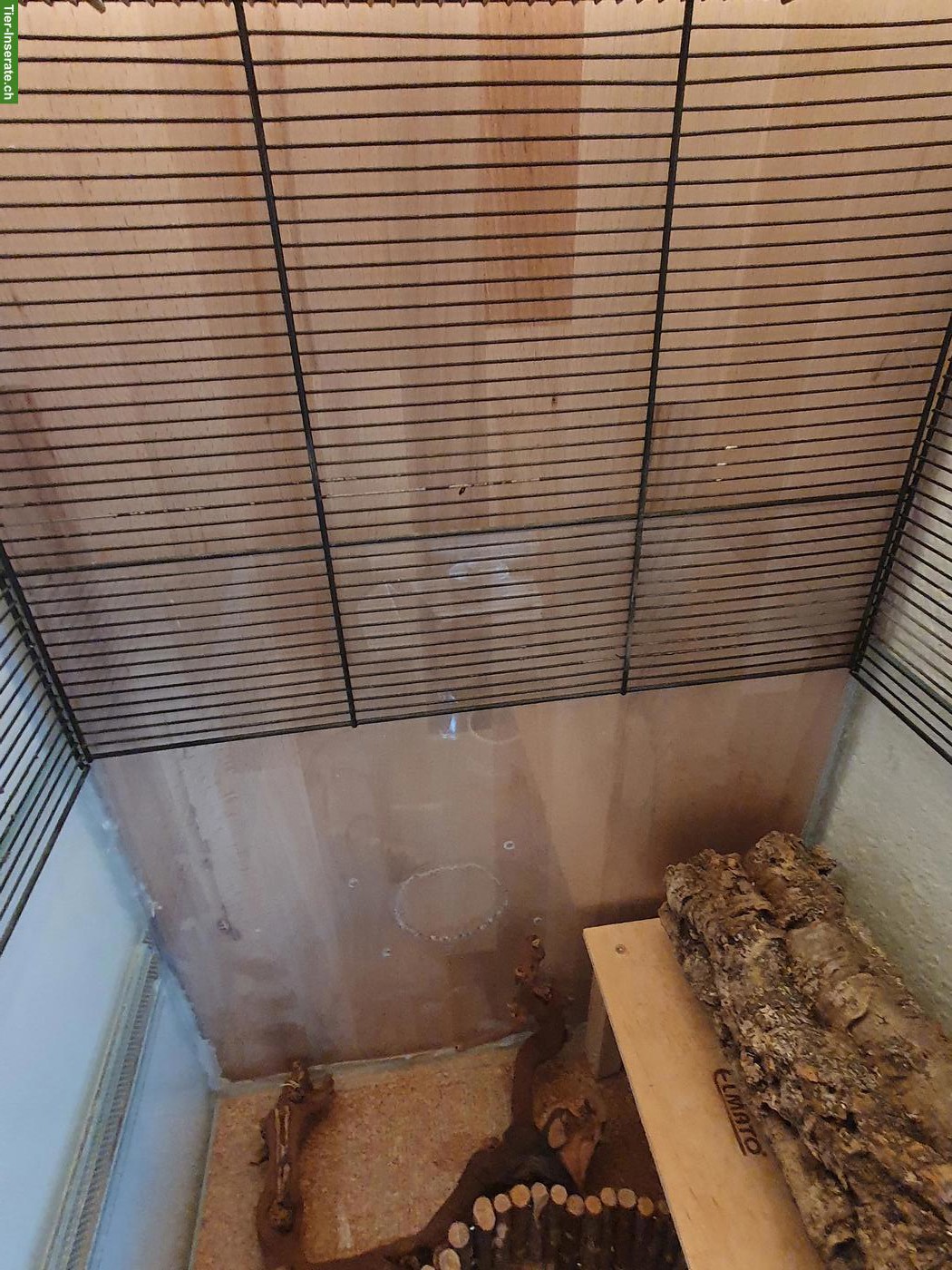 Bild 3: Nagerkäfig / Hamsterkäfig mit Glaswanne und Gitteraufsatz