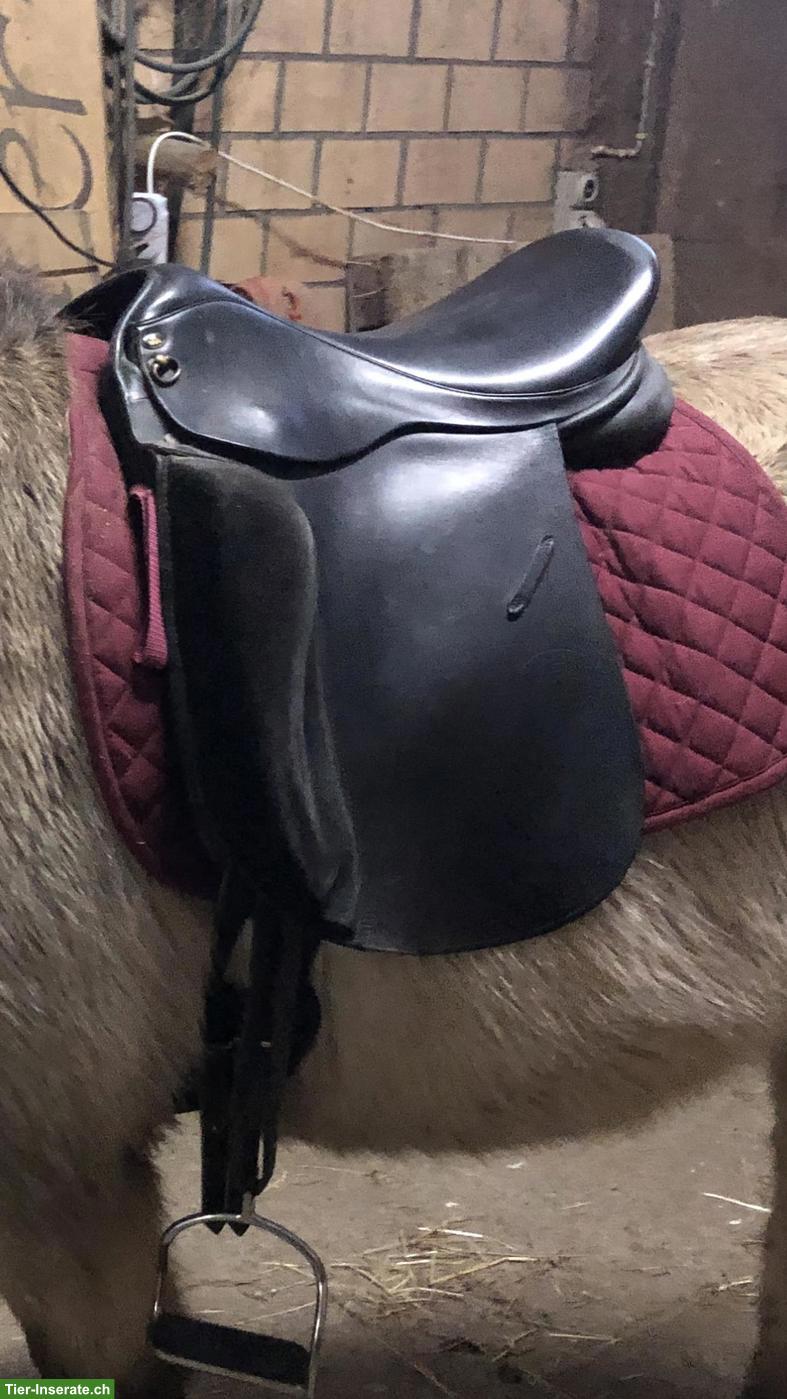 Islandsattel Ástund 17.5 Zoll zu verkaufen