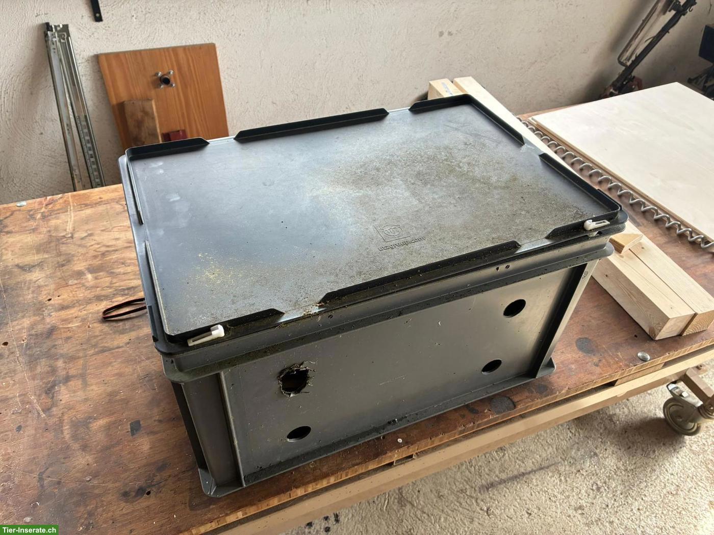 Bild 4: Heubedampfer (Eigenbau) zu verkaufen, bewährt für 3 Pferde