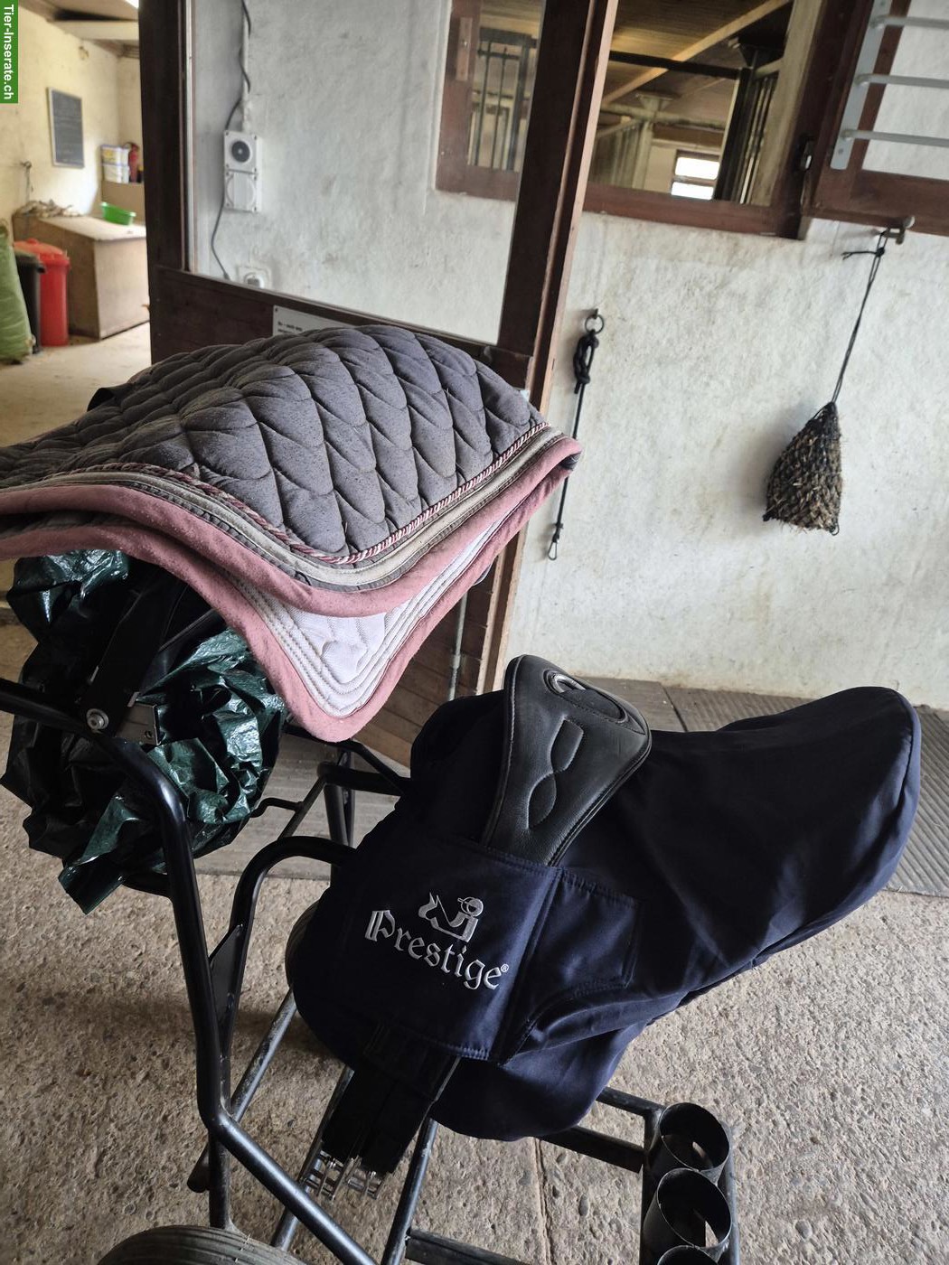 Prestige Ponysattel und Ronda Deluxe Sattel S3 von D&P