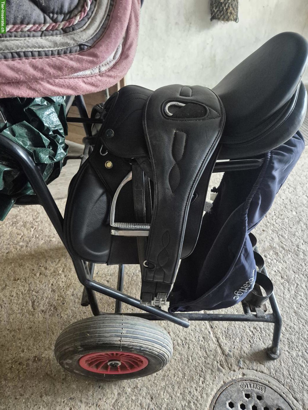 Bild 4: Prestige Ponysattel und Ronda Deluxe Sattel S3 von D&P