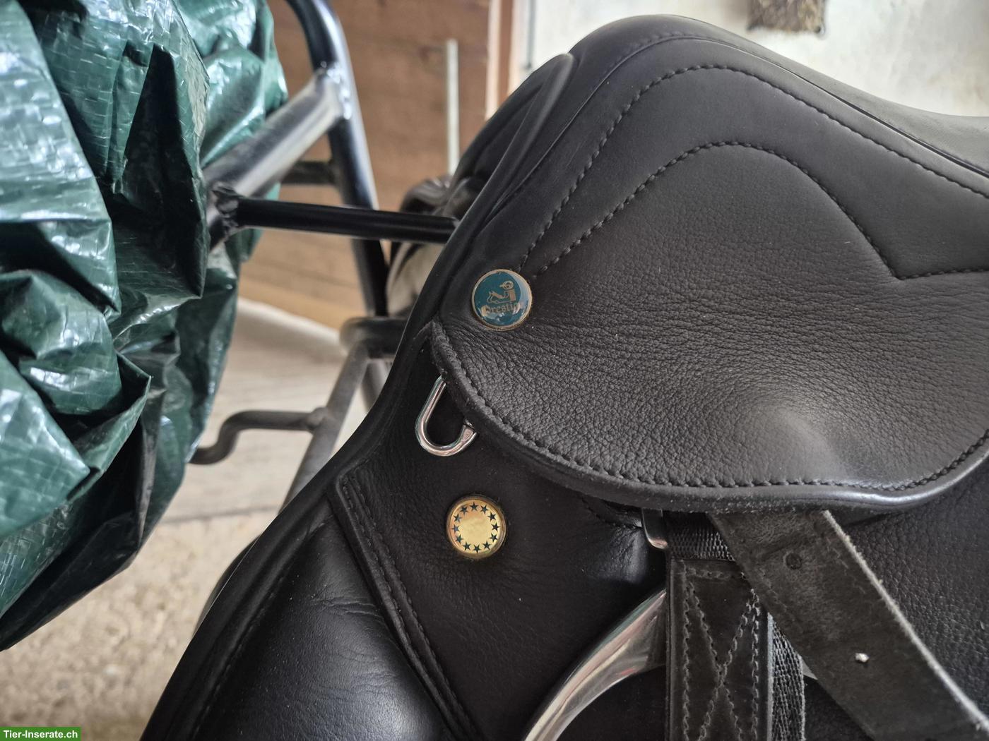 Bild 5: Prestige Ponysattel und Ronda Deluxe Sattel S3 von D&P