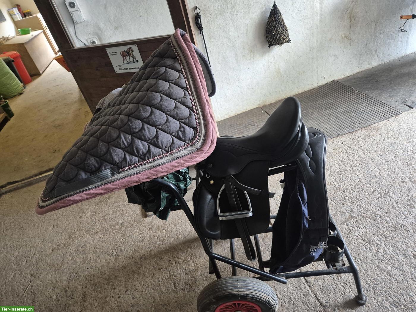 Bild 6: Prestige Ponysattel und Ronda Deluxe Sattel S3 von D&P