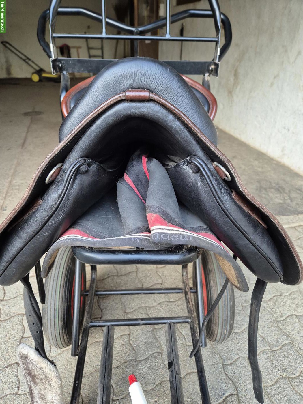 Bild 8: Prestige Ponysattel und Ronda Deluxe Sattel S3 von D&P