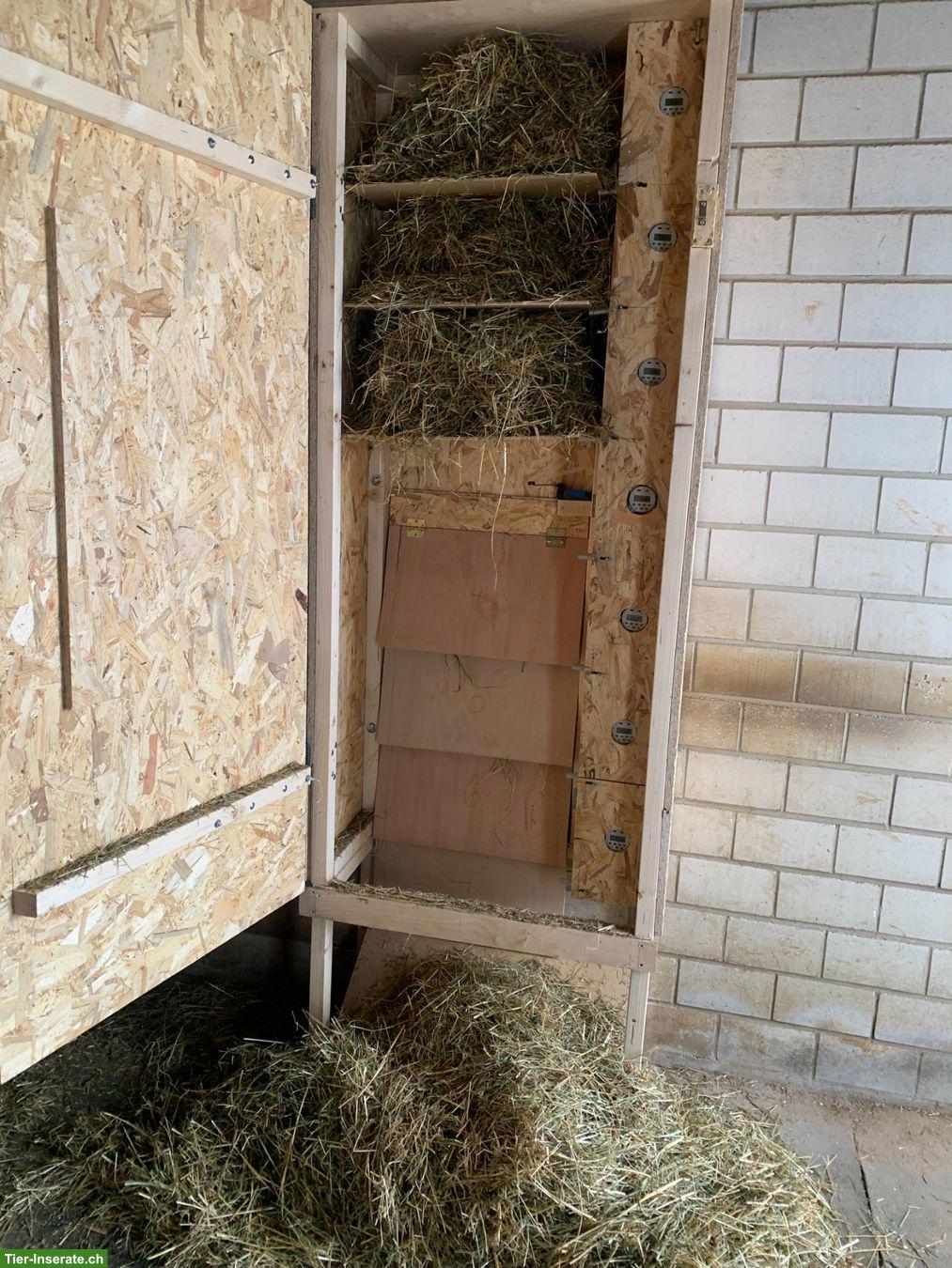 Bild 4: Futterautomat / Heuautomat für Pferde zu verkaufen