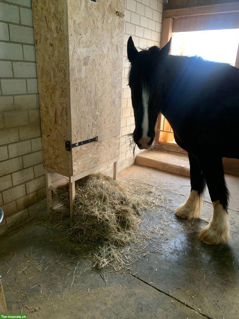 Bild 8: Futterautomat / Heuautomat für Pferde zu verkaufen