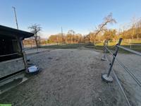 Pferde-Stalltrakt für Selbstversorger in Weinfelden TG
