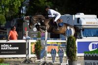 Springpferd zu verkaufen, ideal für Amateure