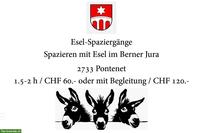 Spazieren mit Esel im Berner Jura