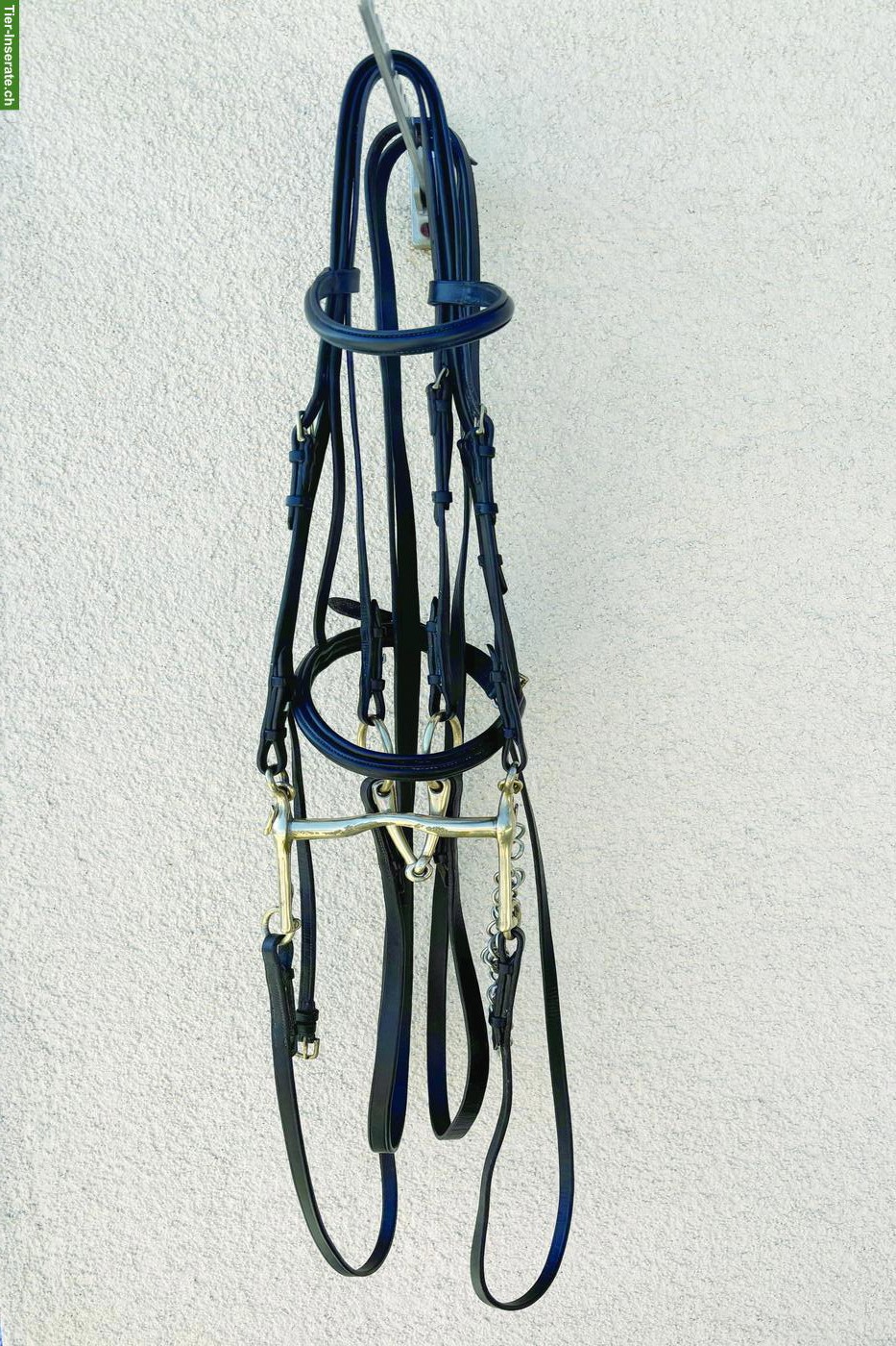 Neuwertiger Kandarenzaum Gr. WB + Sprenger Kandare