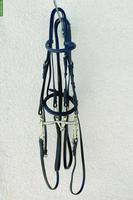 Neuwertiger Kandarenzaum Gr. WB + Sprenger Kandare