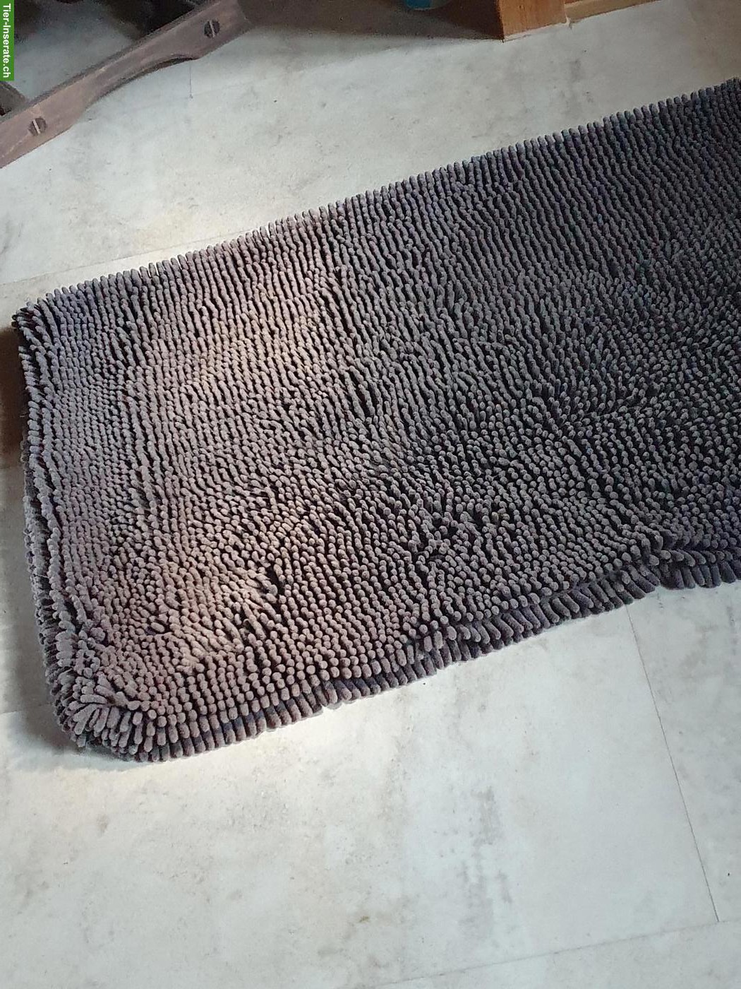 Bild 2: Hundegeschirr zum Autofahren & Liegematte