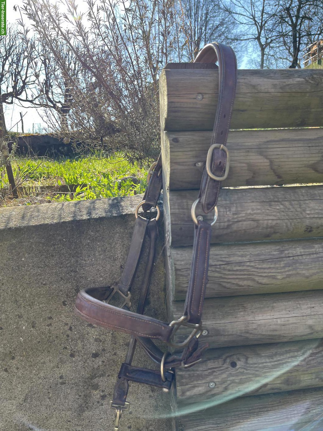 Bild 10: Pferdezubehör Cob & Kleinpferd zu verkaufen