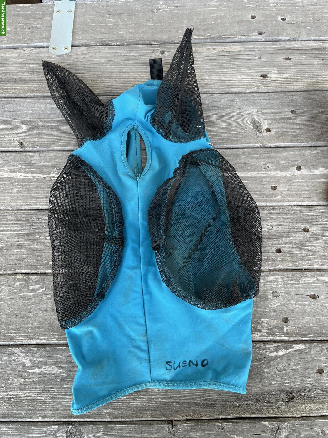 Bild 3: Pferdezubehör Cob & Kleinpferd zu verkaufen