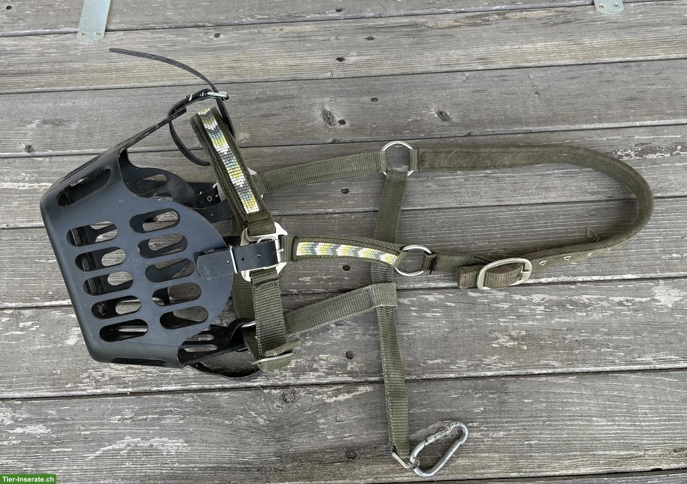 Bild 4: Pferdezubehör Cob & Kleinpferd zu verkaufen