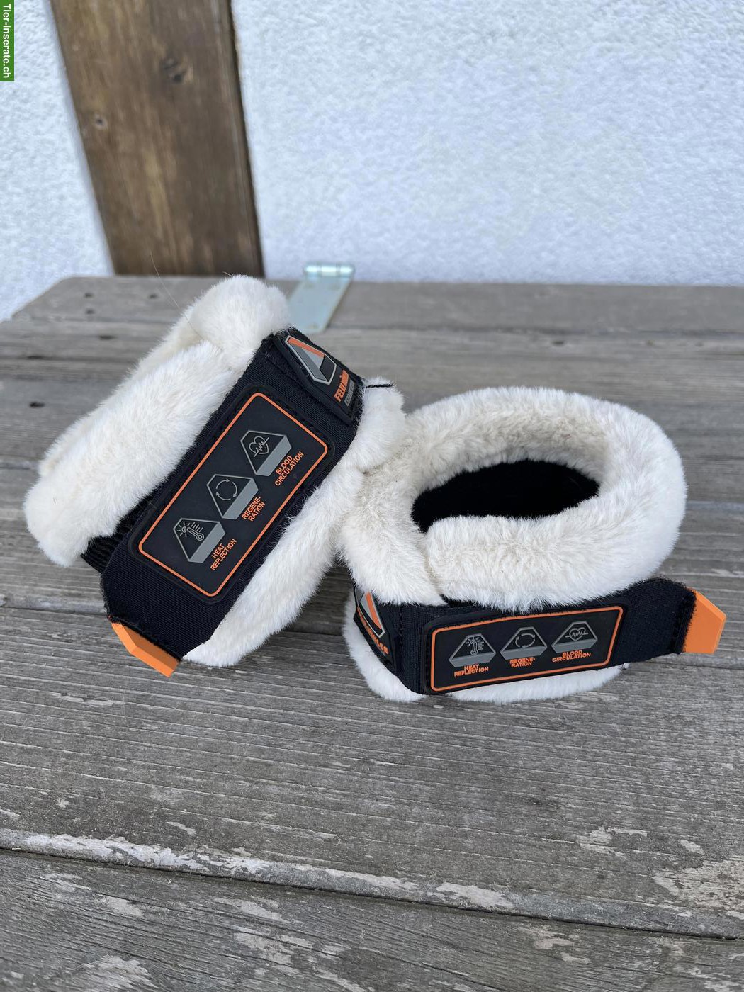 Bild 5: Pferdezubehör Cob & Kleinpferd zu verkaufen