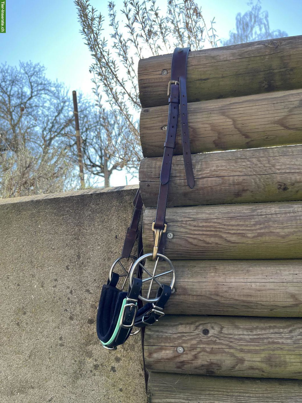 Bild 8: Pferdezubehör Cob & Kleinpferd zu verkaufen