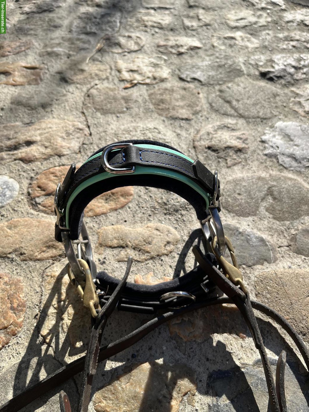 Bild 9: Pferdezubehör Cob & Kleinpferd zu verkaufen