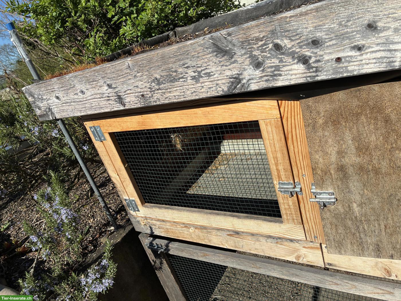 Bild 3: Kaninchenstall zu verkaufen, optional mit Gratis-Gehege