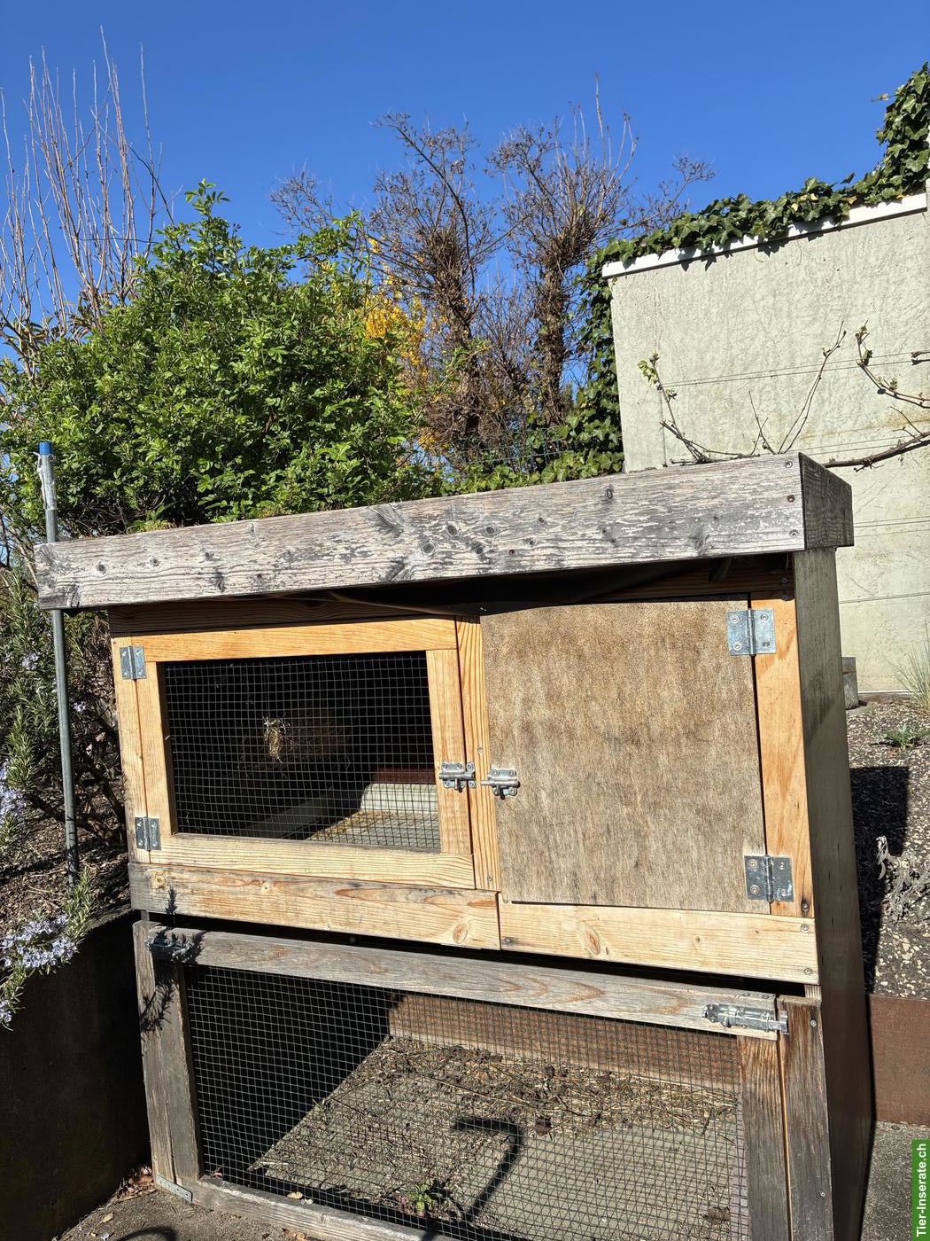 Bild 4: Kaninchenstall zu verkaufen, optional mit Gratis-Gehege