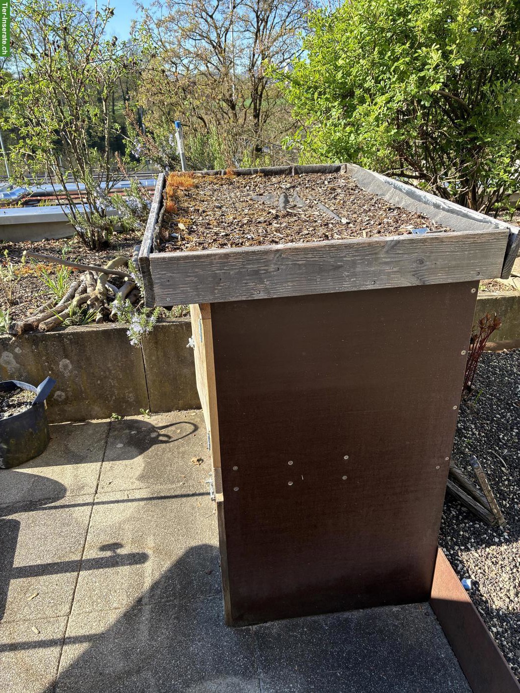 Bild 5: Kaninchenstall zu verkaufen, optional mit Gratis-Gehege