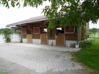 1-2 Pferdeboxen frei in Gossau SG