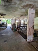 Selbstversorgerstall für 4 Pferde in Küssnacht am Rigi