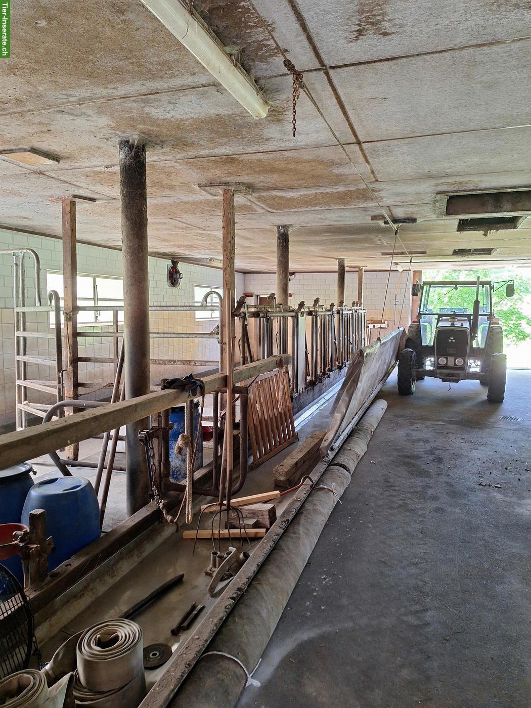 Bild 2: Selbstversorgerstall für 4 Pferde in Küssnacht am Rigi