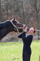 Reitbeteiligung für Wallach Zoran 🦄 in Kappel SO