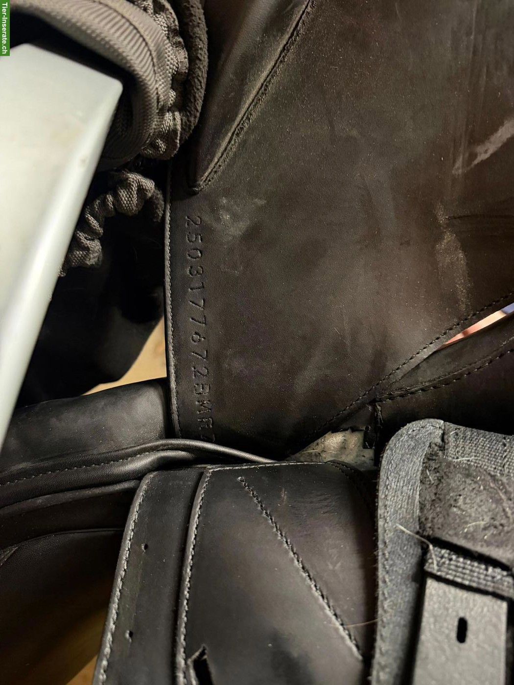 Bild 5: Erreplus Sattel GTD zu verkaufen