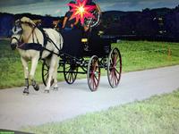Pferdekutsche (ein- & zweispännig) zu verkaufen