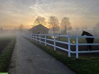 Freie Pferdeboxen im Kanton Bern