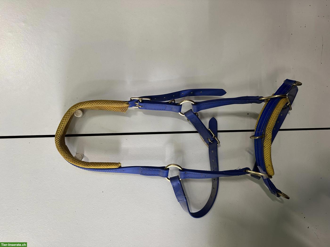 Bild 4: Verschiedene Pferde-/Ponyartikel zu verkaufen