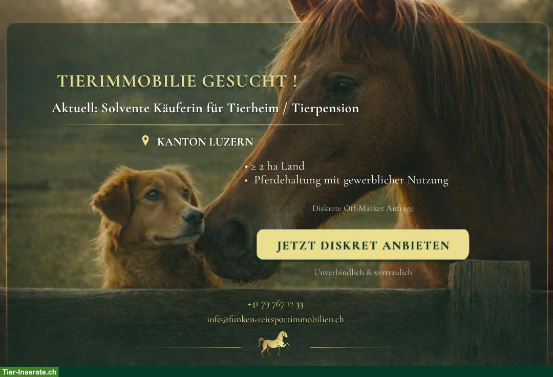 GESUCHT: Immobilie für Tierheim / Tierpension | Kanton Luzern, ≥ 2 ha