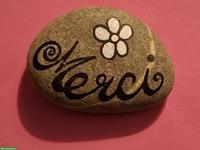 Anhängliche Wohnungskatze GESUCHT