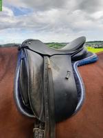 Massimo Dressursattel zu verkaufen