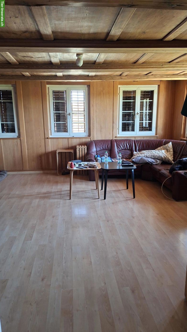 Bild 2: 4 Zimmer Parterre Wohnung mit Gartensitzplatz im Kt. Freiburg