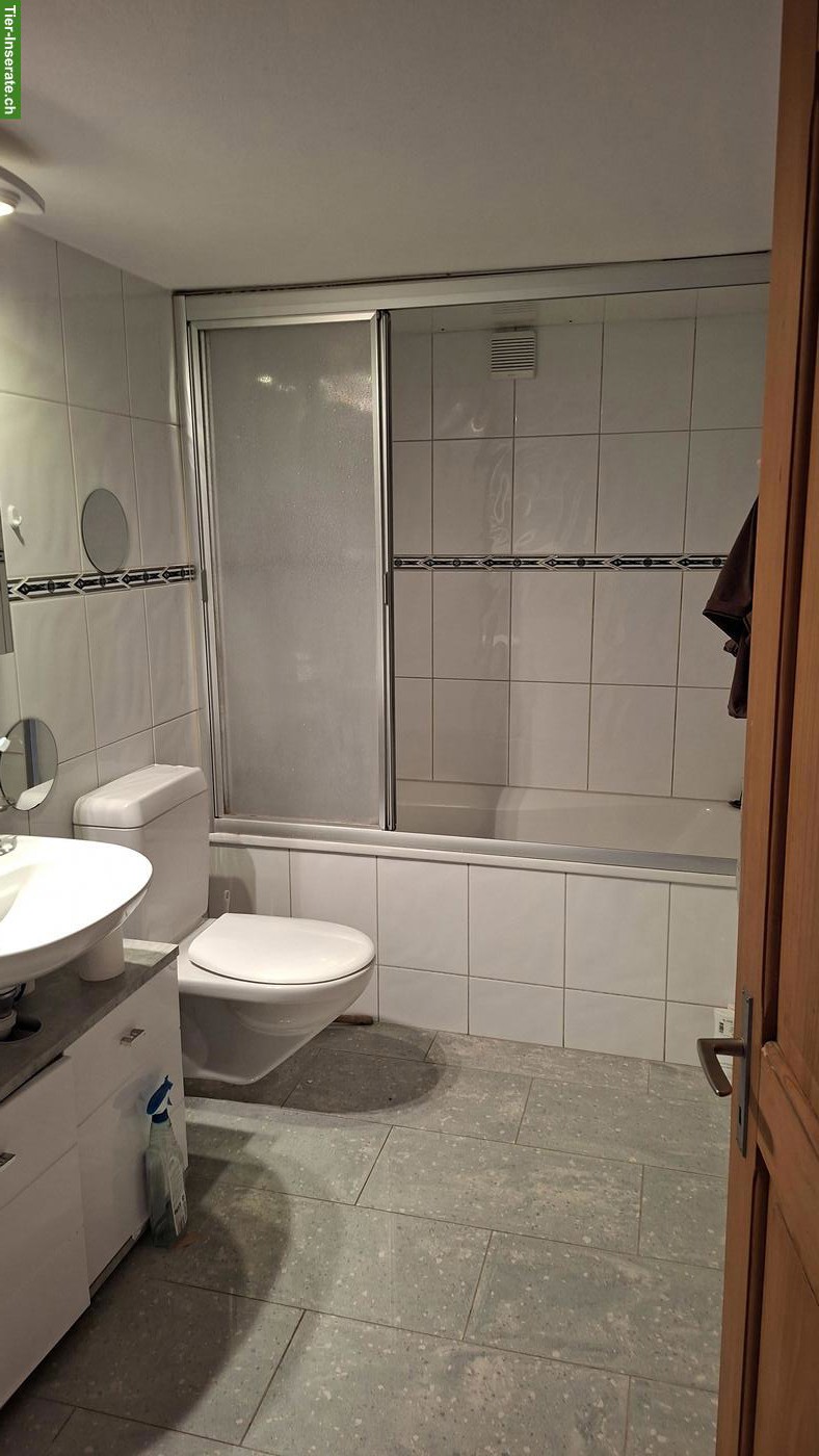 Bild 3: 4 Zimmer Parterre Wohnung mit Gartensitzplatz im Kt. Freiburg