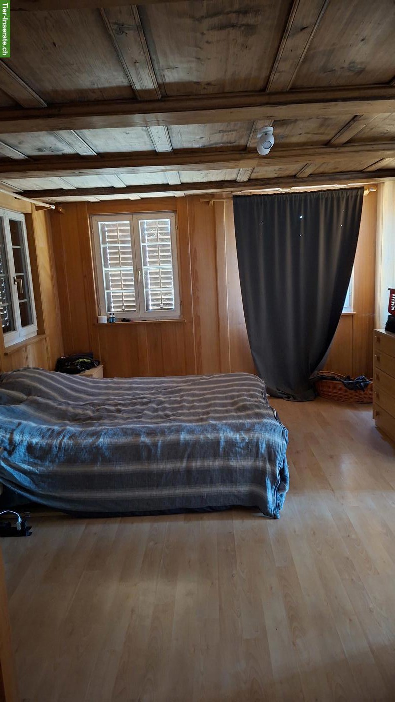 Bild 4: 4 Zimmer Parterre Wohnung mit Gartensitzplatz im Kt. Freiburg