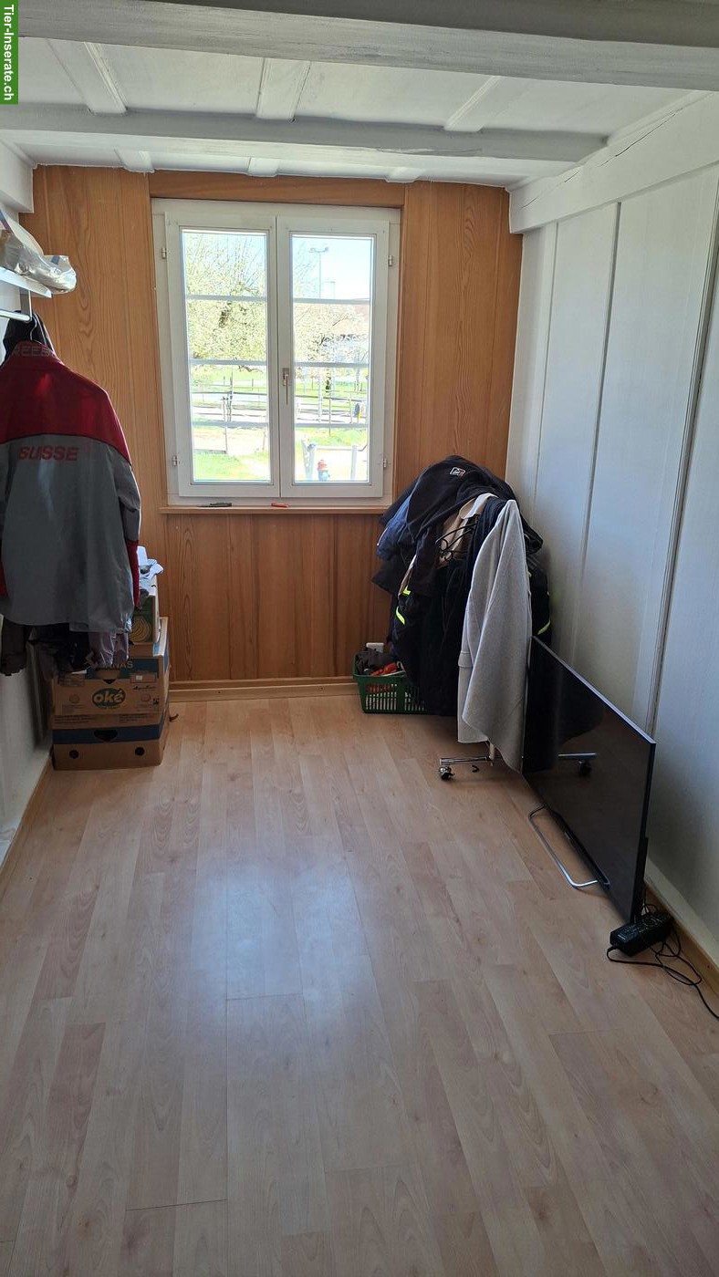 Bild 6: 4 Zimmer Parterre Wohnung mit Gartensitzplatz im Kt. Freiburg